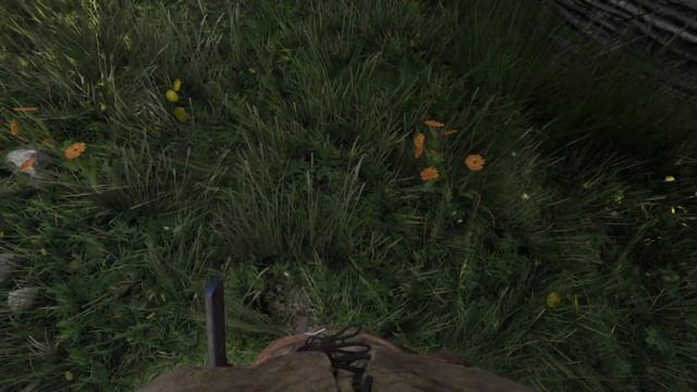 Kingdom Come: Deliverance II ( Жёсткий режим) 2-я серия смотреть онлайн