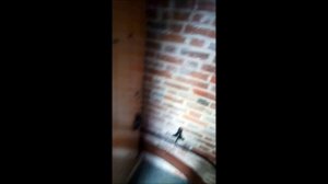 Москва. Кремль. В колокольне Ивана Великого. Спуск. 2018 г.