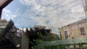 Московский зоопарк. Обыкновенный стервятник.