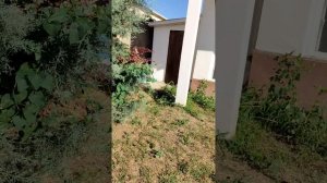 2 часть я в отеле!!