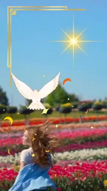 1000111082.mp4 смотреть онлайн