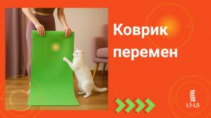 Чёрная туча над современной йогой. Зачем расстилать и собирать коврик_ группа _ЗДОРОВАЯ ПОЯСНИЦА_