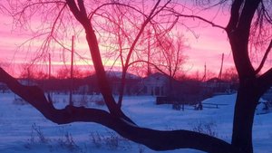 Любимая сердцу земля Поэзия Чановского района Стихотворение Родная моя сторона