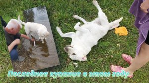 Последнее купание в этом году