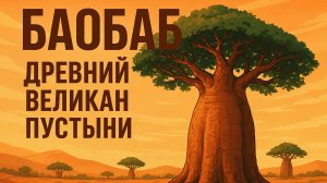 Баобаб - древний великан пустыни