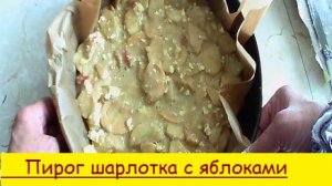 Пирог шарлотка с яблоками