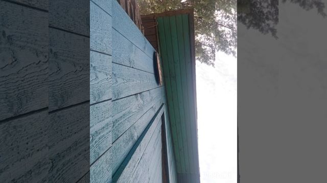 48 часов в деревне влог ненастья/nenastya смотреть онлайн