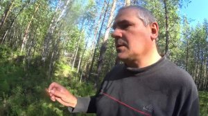 На два дня в деревню.Сбор грибов.