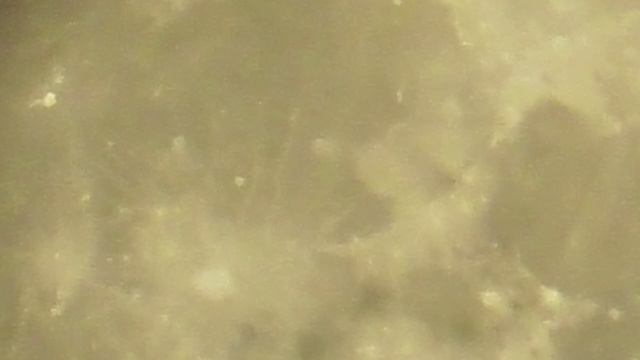 07.08.2025 Moon 23-56 msk