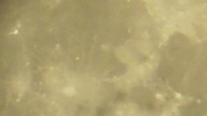 07.08.2025 Moon 23-56 msk