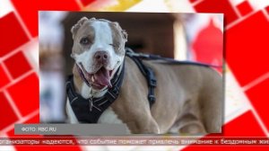 13.08.2025 Мировые новости