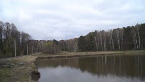 Зарыбление 2021 в свой пруд   Рыбхоз Осёнка обзор цены