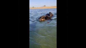 Банхар и Море