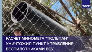 Расчет миномета "Тюльпан" уничтожил пункт управления беспилотниками ВСУ