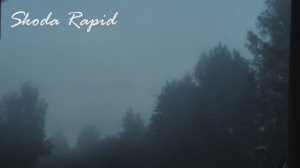 Дорога в тумане. Skoda Rapid