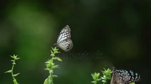 АВГУСТ ЩЕДРЫЙ МЕСЯЦ