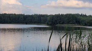 Белоозерский - весной и летом😊🍭🌳