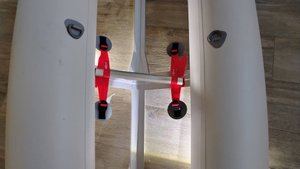 Самый красивый пяточник