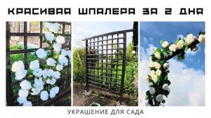 Шпалера своими руками за выходные! Пошаговый мастер-класс с ошибками и лайфхаками ✨ #Сад #diy