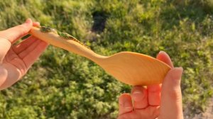 деревянная ложка .mp4