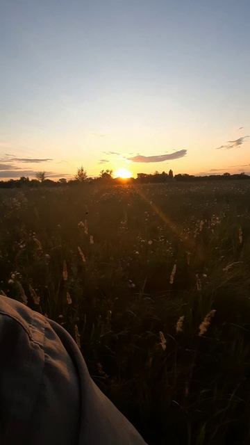 more than 22 km 🚴🏻♀️🚴🏼♂️ #bicycle #sport #meditation смотреть онлайн