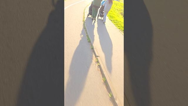 Муринский парк 08.25