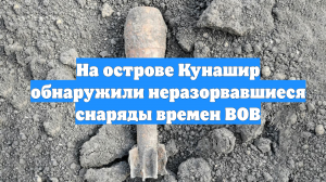 На острове Кунашир обнаружили неразорвавшиеся снаряды времен ВОВ