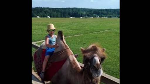 Кемпинг и поход к верблюдам в этнопарк Кочевник, Хотьково, Московская область 12-14.07.2025