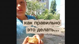 Доброе дело Голуби Природа Ребенок Школьник Каникулы Лето 2025