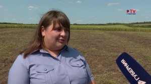 Губернские новости. 13.08.2025