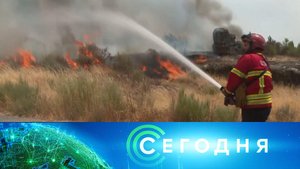 «Сегодня»: 13 августа 2025 года. 19:00 | Выпуск новостей | Новости НТВ
