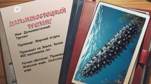 Агент биосферы / Дальневосточный трепанг / 13.08.25