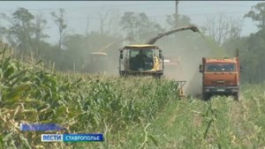 Аграрии Ставрополья запасаются питательным кормом для скота