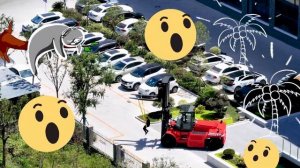 Позвольте качелям поднять вас на новую высоту