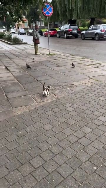 это ее первая охота в жизни смотреть онлайн