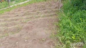 Августовские работы на даче