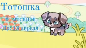 💙~новый интро~🤍