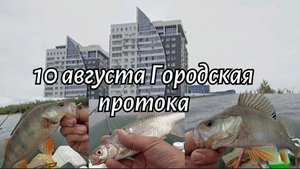 10 августа Городская протока.