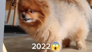 Как менялся Айко 2025-2019