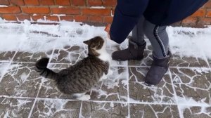 Воспоминания 2021г. Убираем в доме после Новогодних Праздников. Разбираем елку....