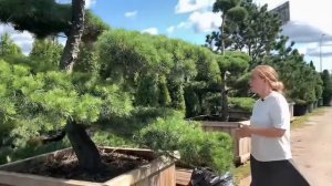 Секреты правильного выбора растений для сада.Экспертное мнение.☝️