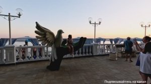 ДИВНОМОРСКОЕ 12.08.2025 КРАСИВЫЙ ЗАКАТ.