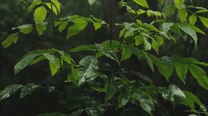 Эти знаки зодиака всегда могут заработать большие деньги.