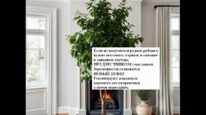 ПРИМЕТЫ И СУЕВЕРИЯ. Фикус Бенджамина. Чтобы в семье родился долгожданный малыш