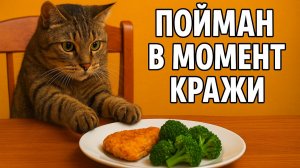 Смех до слёз: лучшие приколы №179