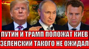 Путин и Трамп положат Украину! Зеленский такого не ждал// Один вопрос решит судьбу Киева