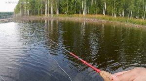 Порыбачил сегодня