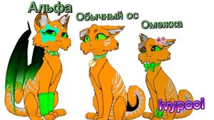 Короч я решила повторить тренд 🗿