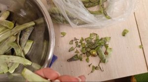 Мохнатая чёрная лапка-помощник🐾🐈⬛