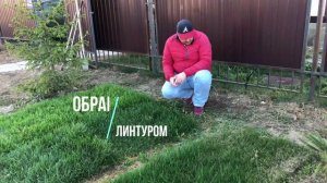 Гербициды сплошного и избирательного действия: итоги долгожданного эксперимента! Смотри тут!